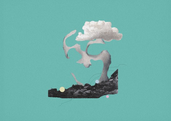 Apophenia Collage consisting of parts from a landscape picture and a portrait, creating an ambiguous face stimulus, depicting the phenomenon of apophenia