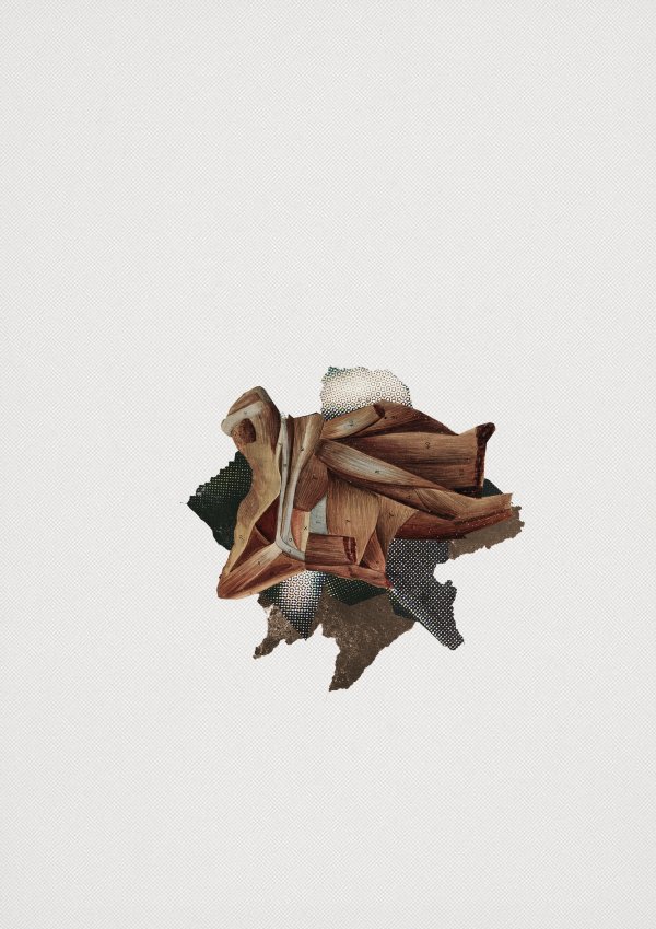 Organoid Collage consisting of different parts of a neck from an old anatomical book and parts from a print screen