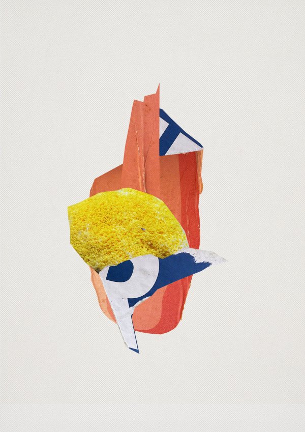 R Collage consisting of different parts from a print screen and a picture of a slime mold