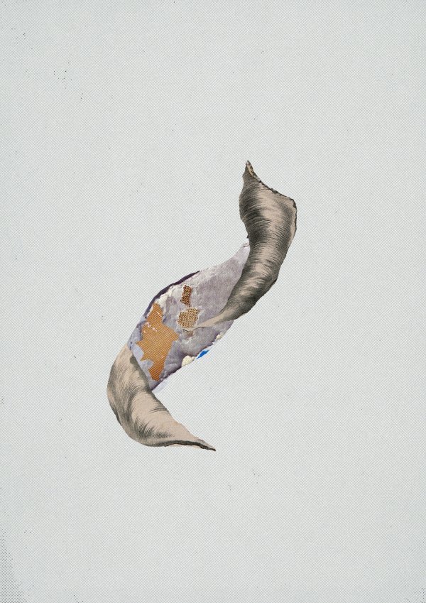 Snail Abstract collage consisting of parts from a billboard (print screen) and an old anatomical illustration