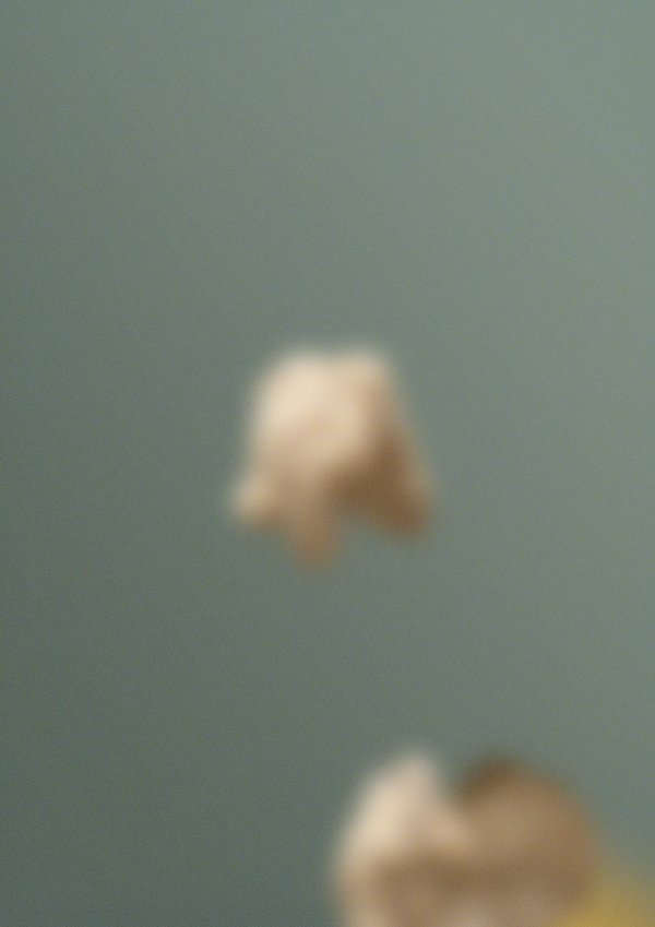 Organoid III Abstract collage consisting of parts from different images