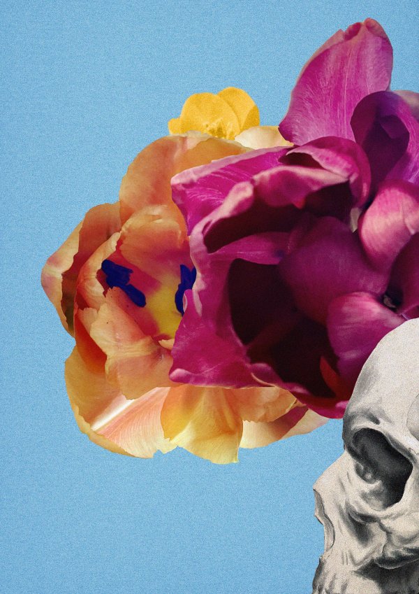 Midsommar Reloaded Abstract collage consisting of parts from fotos depicting flowers/blossoms and an old anatomical illustration
