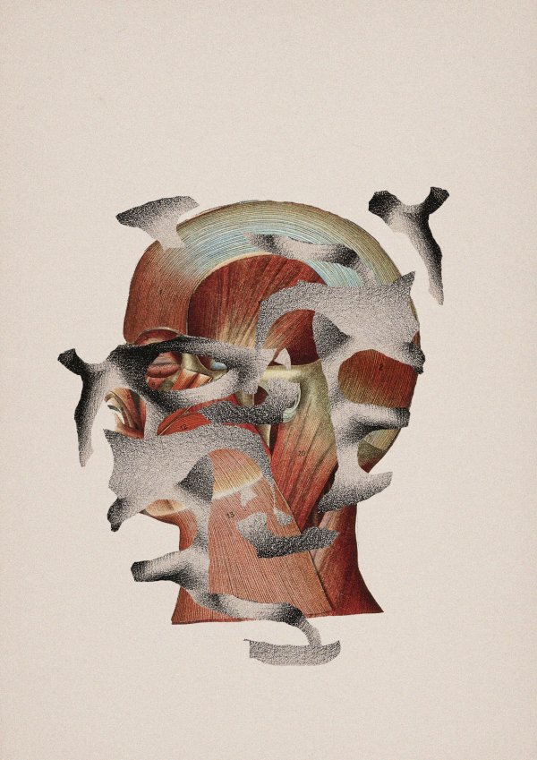 Expanding Abstract collage consisting of parts from old anatomical illustrations