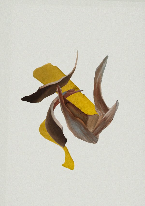 Atumn Abstract collage consisting of parts from old anatomical illustrations and a foto from a yellow leaf