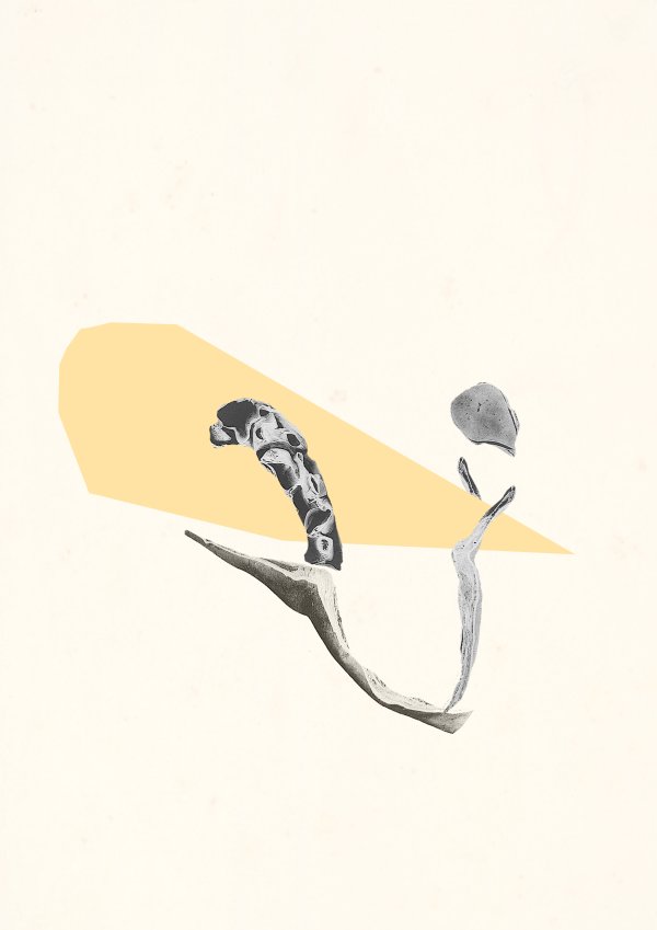 Abstract collage consisting of parts from an old anatomical illustrations and color patches